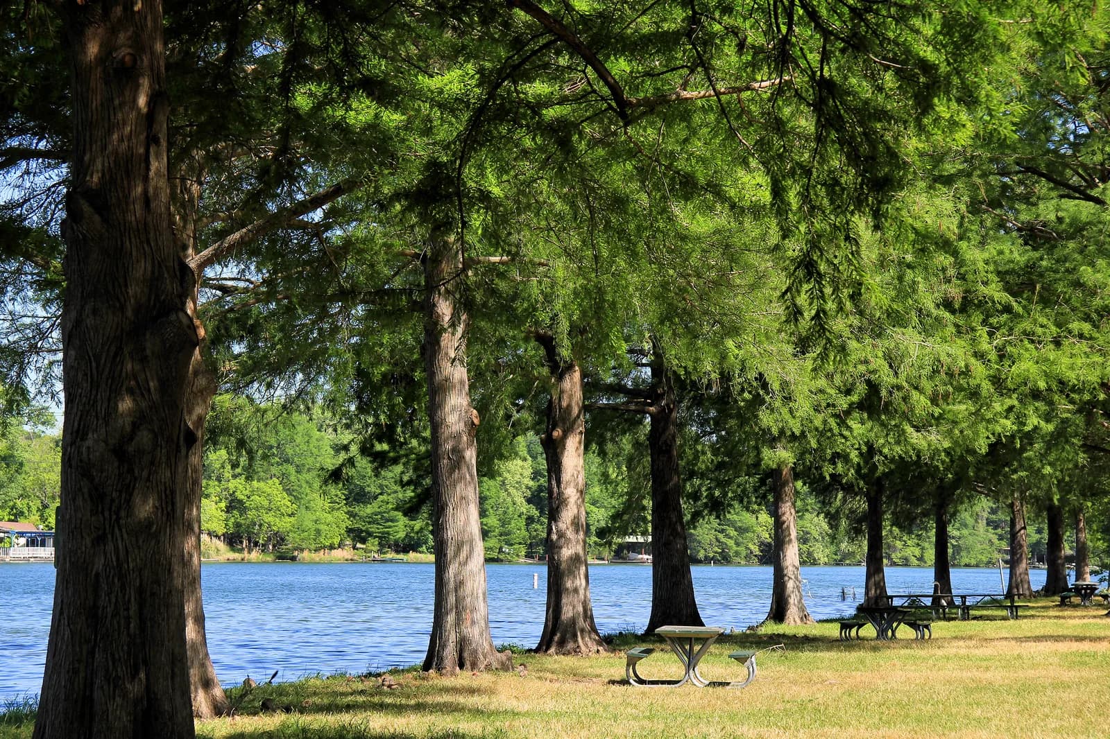 Emma Long Park