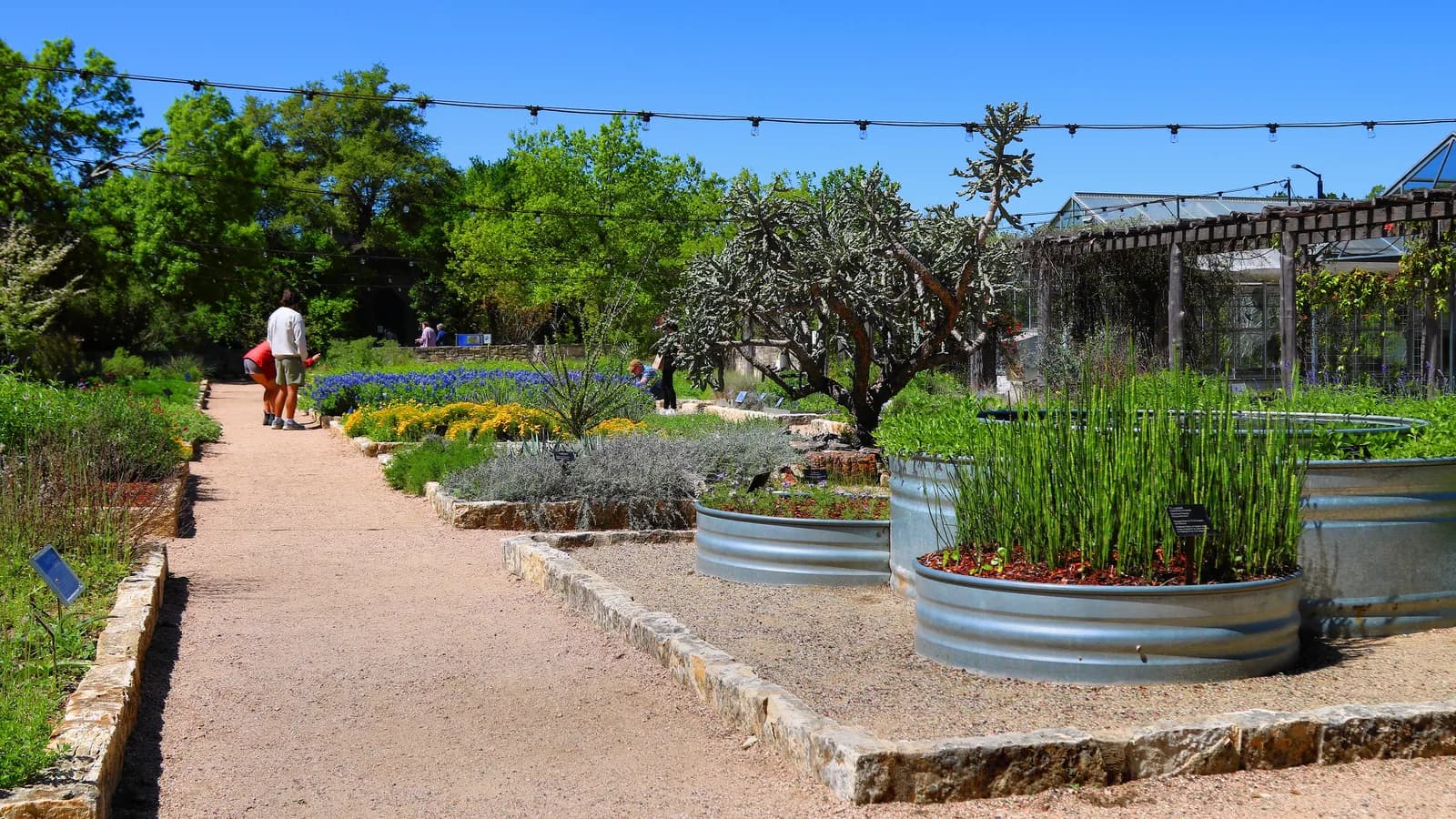 Ladybird Johnson Wildflower Center