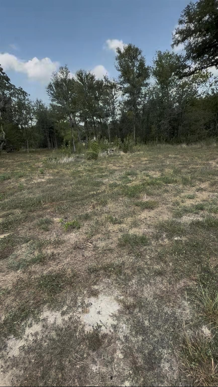 6070 Farm To Market 672, Dale, photo 4
