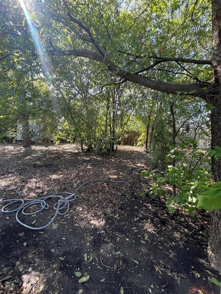 2006 Maple Ave 2, Austin, photo 5